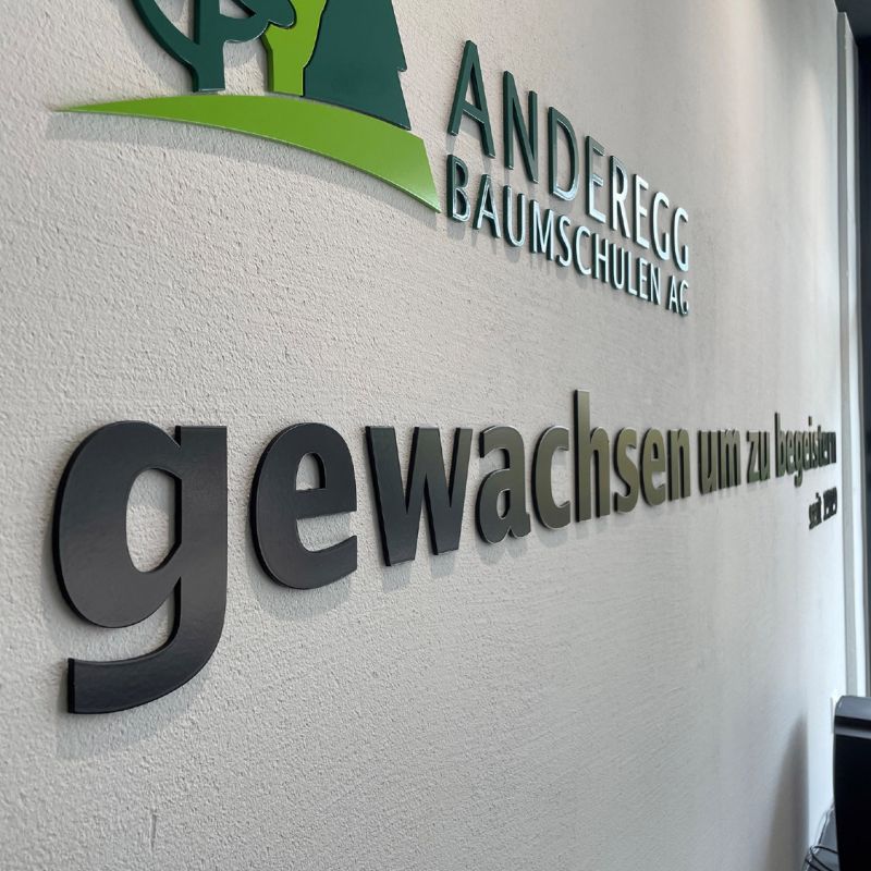 gelaserte aluminiumbuchstaben gelaserte aluminiumbuchstaben