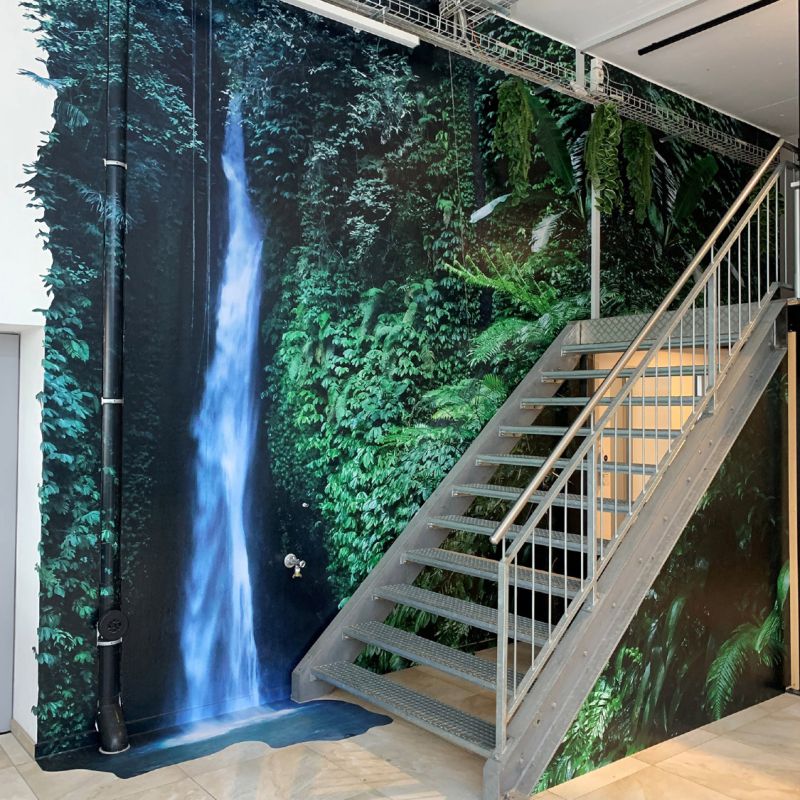 regenwald tapete regenwald tapete